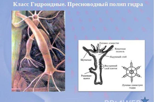 Кракен драг