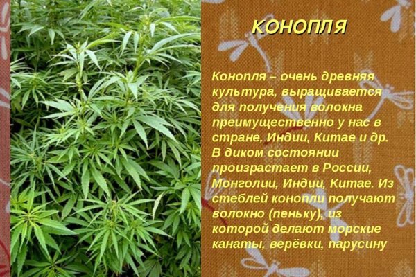 Кракен 15at