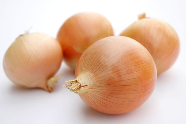 Kraken рабочее зеркало onion