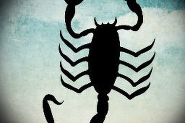 Kraken 13at