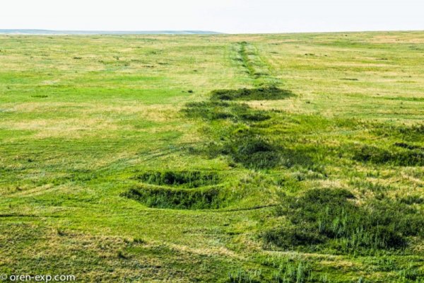 Что такое кракен в даркнете
