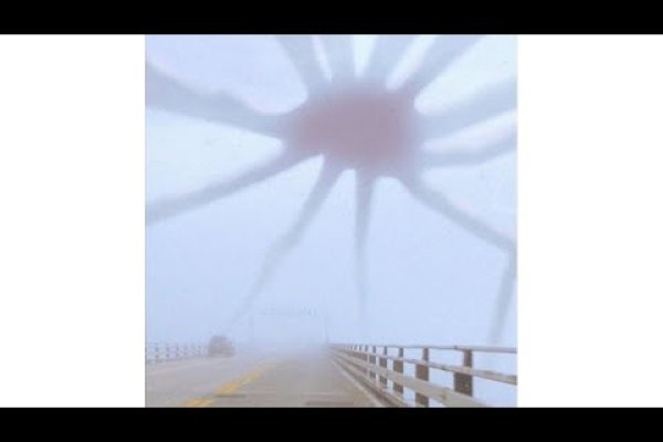 Kraken официальная ссылка