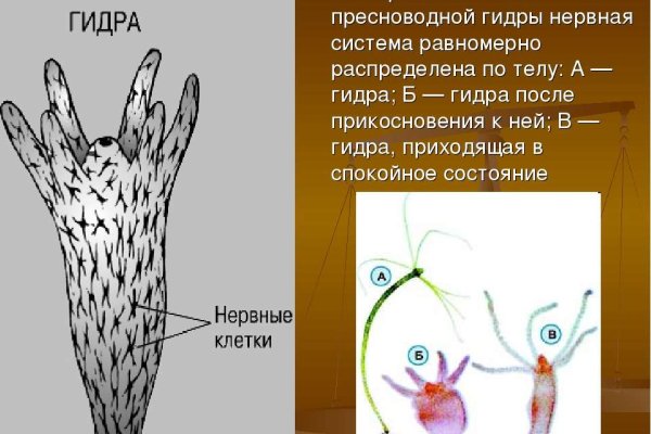Доступ к kraken через vpn
